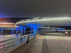 -演武大桥观景平台