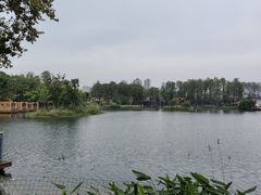 -武汉动物园