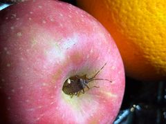 -长白山万达喜来登度假酒店