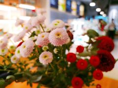 -project coffee普络捷(鹭洲里店)