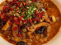 -龙翔山庄雷鸡肉(青城后山泰安古镇店)