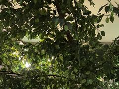 -永安鱼庄·镇江菜(丁卯店)