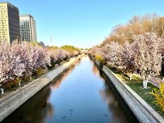 -海棠花溪(元大都城垣遗址公园)
