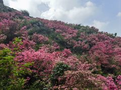 -木兰云雾山