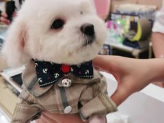 -BABIT巴比特宠物(MOMOPARK店)