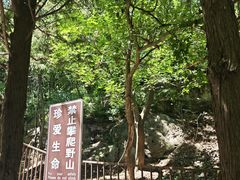 -妙峰山风景名胜区