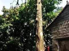 -终南山南五台景区