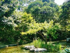 -上海滨江森林公园