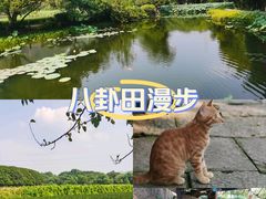 -八卦田遗址公园