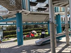 -季高兔窝窝亲子园(上海薰衣草公园店)