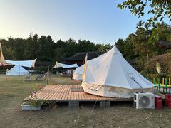 -上海海湾国家森林公园