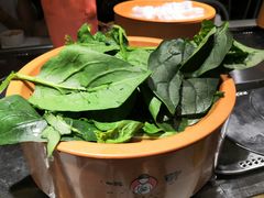 -龍歌自助小火锅(崂山丽达店)