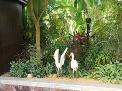 -碧桂园润杨溪谷温泉酒店