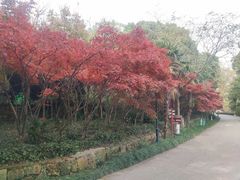 -白马涧龙池景区