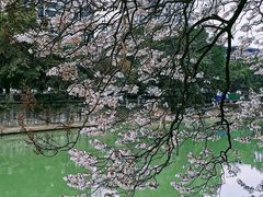 -红星桥(地铁站)
