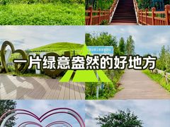 -恋山坝上草原