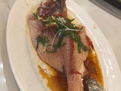 -新金盛·海鲜酒楼(盐田店)