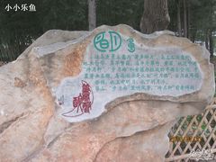 -紫竹院公园冰场