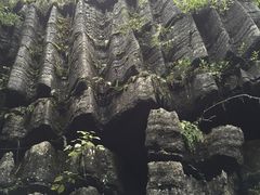 -梭布垭石林景区