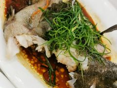 -湛江渔港·大排档(乐园路总店)
