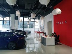 -TESLA 特斯拉(深圳观澜特斯拉直营钣喷中心)