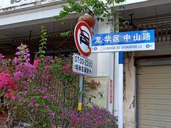 -万绿园