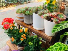 -Rabbit Cafe私房西餐甜点咖啡(栖霞路店)