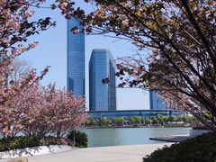 -白鹭园