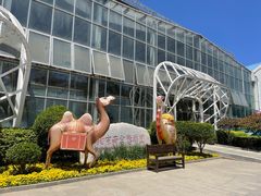 -南宫五洲植物乐园