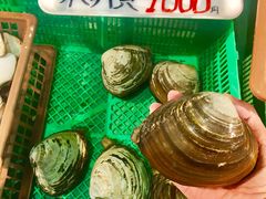 -海鮮寿司とれとれ市場