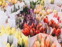 -循礼门鲜花花市(武汉循礼门店)