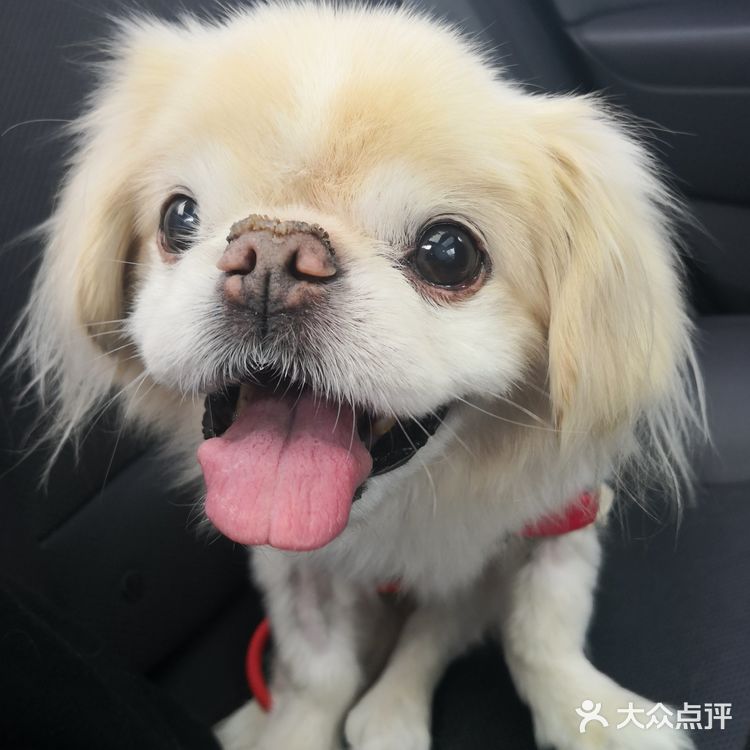 乒小乓，你想姐姐了吗？