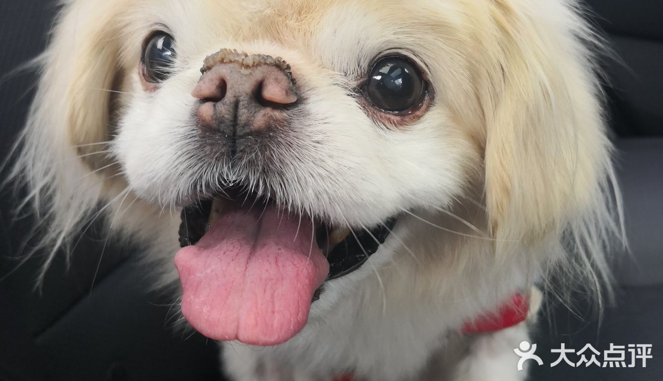 乒小乓,你想姐姐了吗?