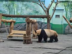 -秦皇岛野生动物园