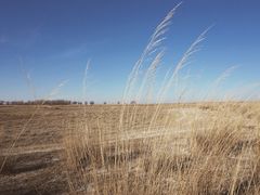 -亿利库布其七星湖沙漠生态旅游区