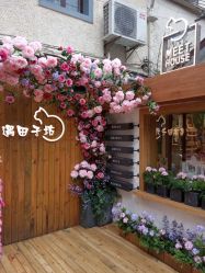 -香遇沙龙香水·调香·团建