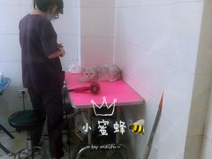 -艾贝尔宠物医院 ·内科全科(梁溪路店)