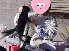 -特一安24小时宠物医院·骨科·中兽医