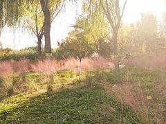 -永定河休闲森林公园