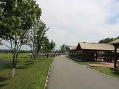 -洪湖湿地生态园