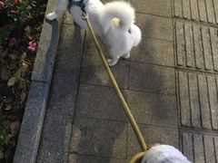 -麦田工坊(月湖店)