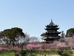 -上海海湾国家森林公园