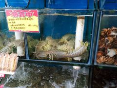 -蚝专家(北滘店)