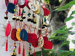 -西双版纳原始森林公园