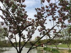 -昆山城市生态森林公园