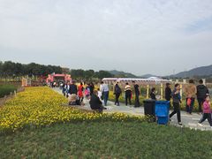 -光明小镇欢乐田园