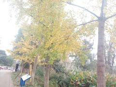 -白鹭湾湿地公园