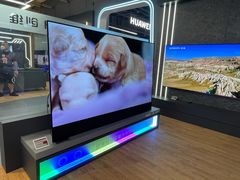 -真快乐APP体验中心(西坝河店)