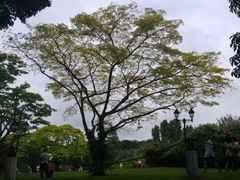 -新加坡总统府