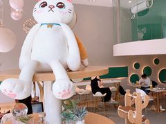 -飞行喵MR PILOT|猫舍·猫咖(静安大融城店)